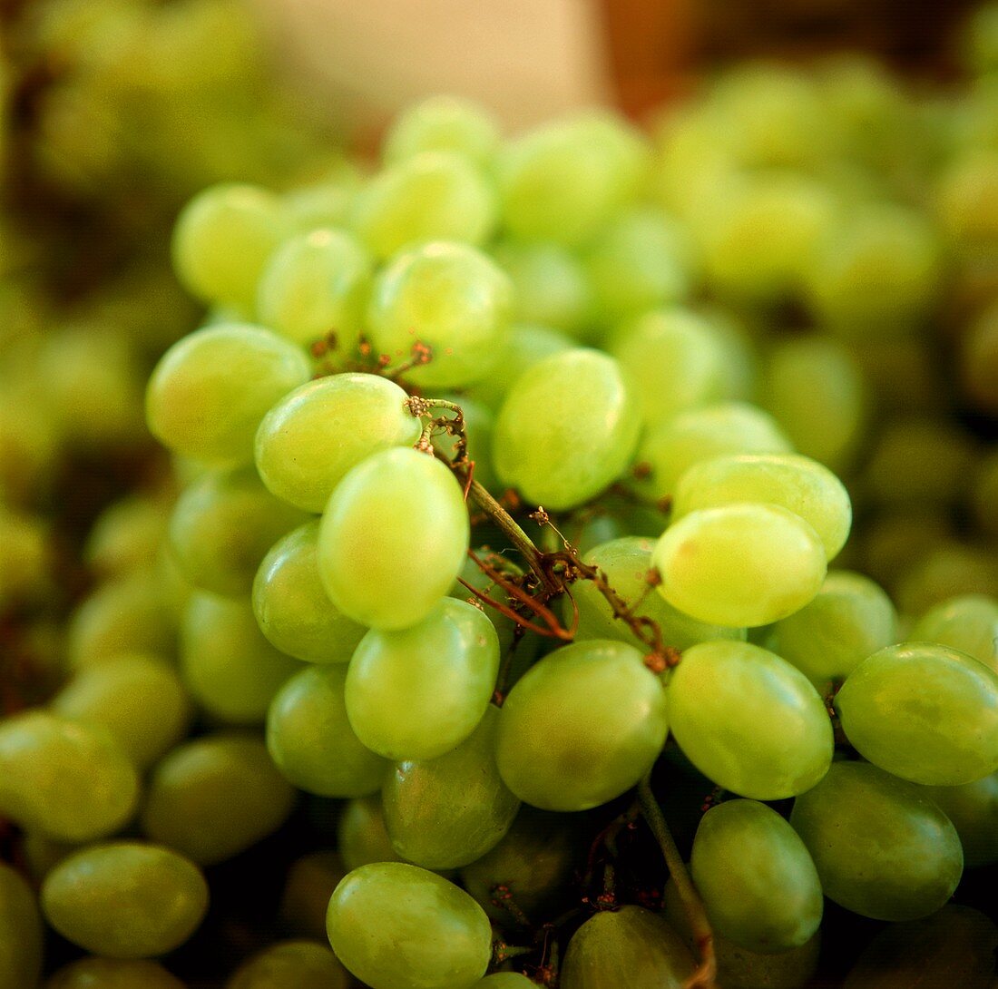 Green grapes