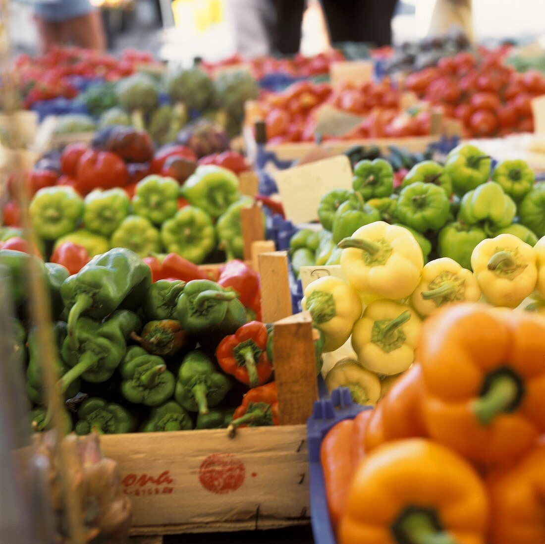 Verschiedene Paprikaschoten in Steigen auf einem Markt