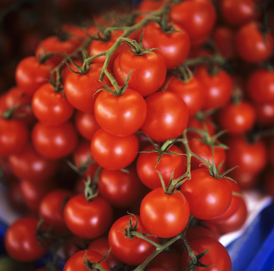 Kleine Strauchtomaten auf einem Markt