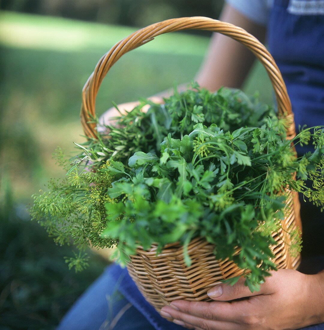 A Wicker Basket Full Of Fresh Herbs