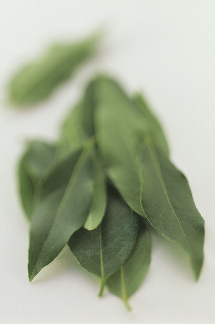 Bay leaves