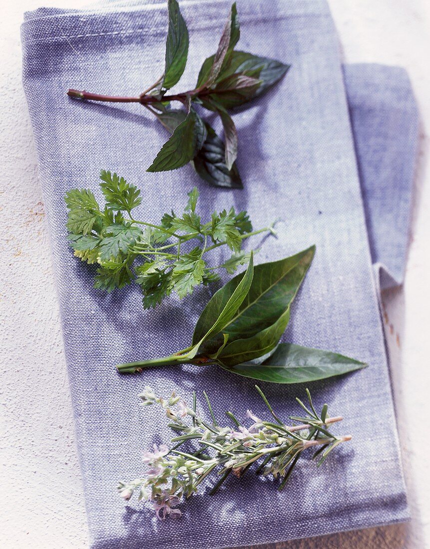 Minze, Kerbel, Lorbeer und Rosmarin auf hellblauem Tuch