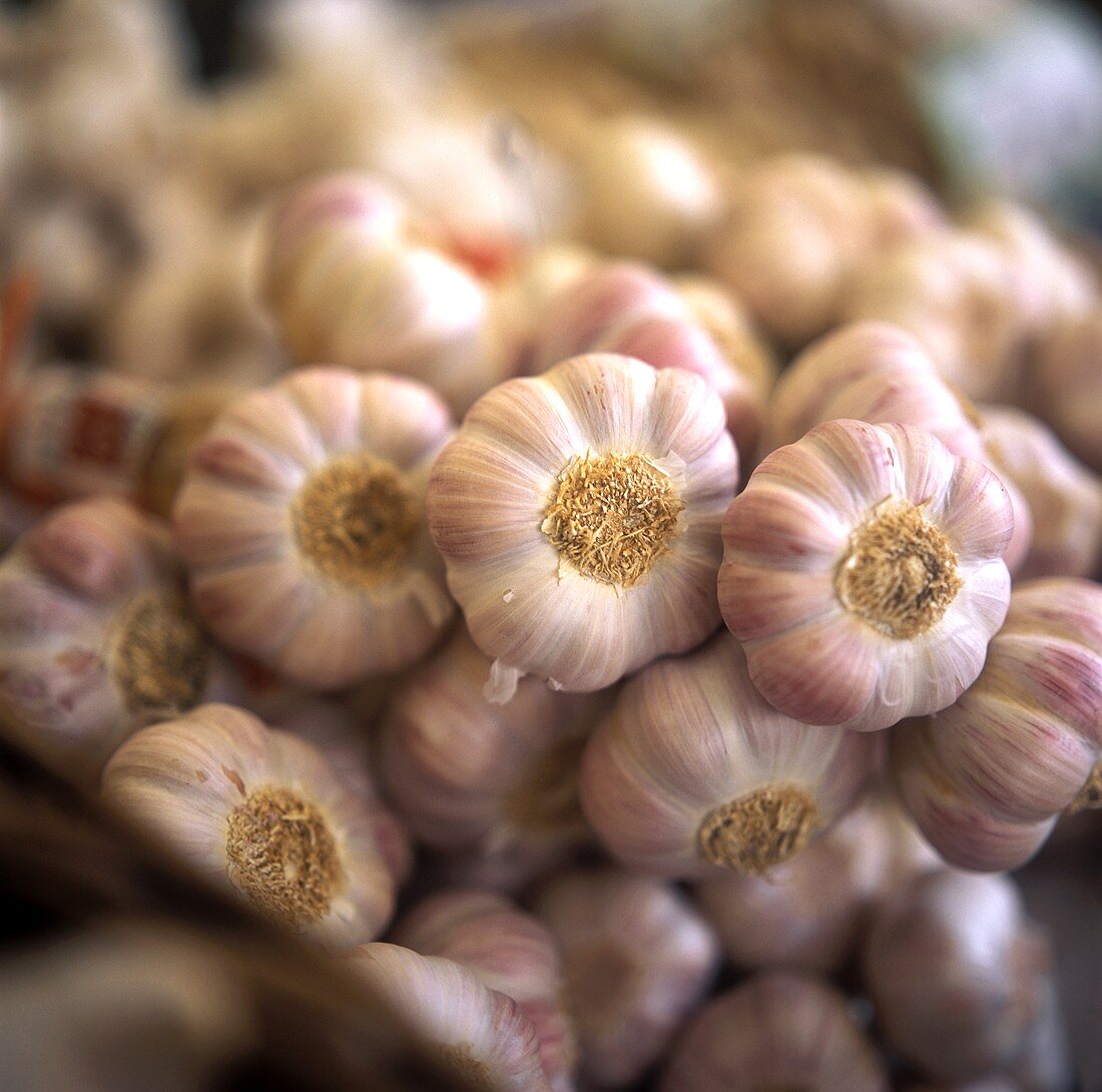 Frischer Knoblauch auf dem Markt