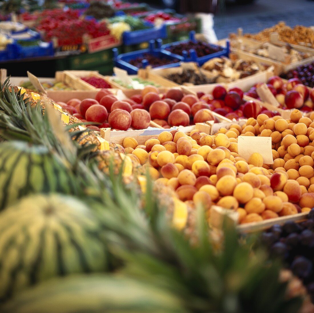 Frisches Obst, darunter Aprikosen, auf dem Markt