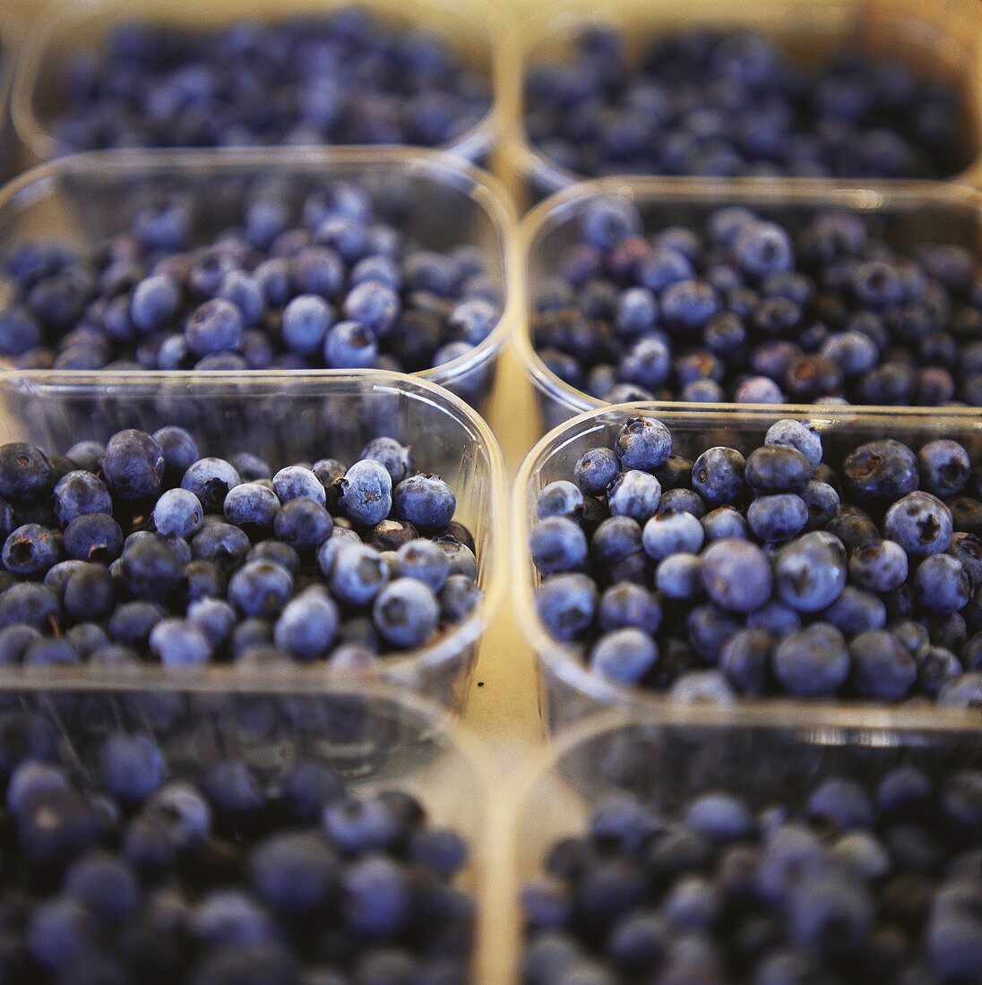 Fresh Blueberries in Plastic Containers