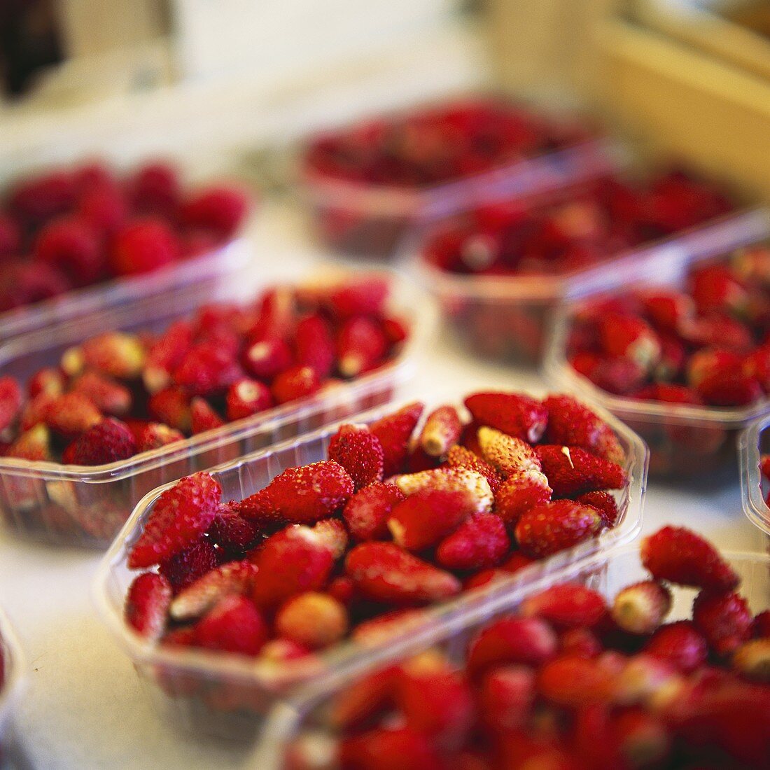 Wild Strawberries in Plastic Containers