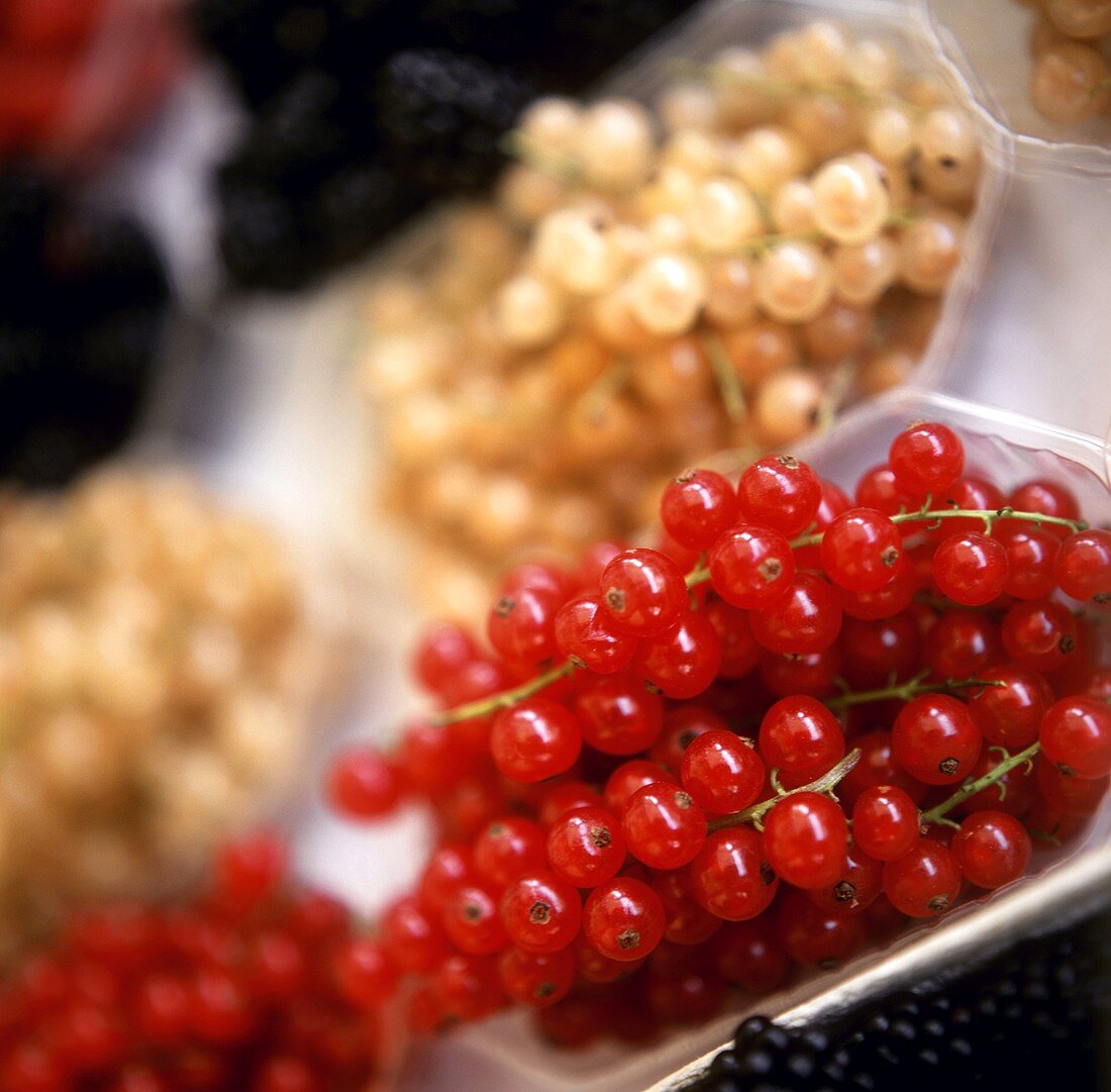 Rote & weiße Johannisbeeren in Plastikschalen auf dem Markt