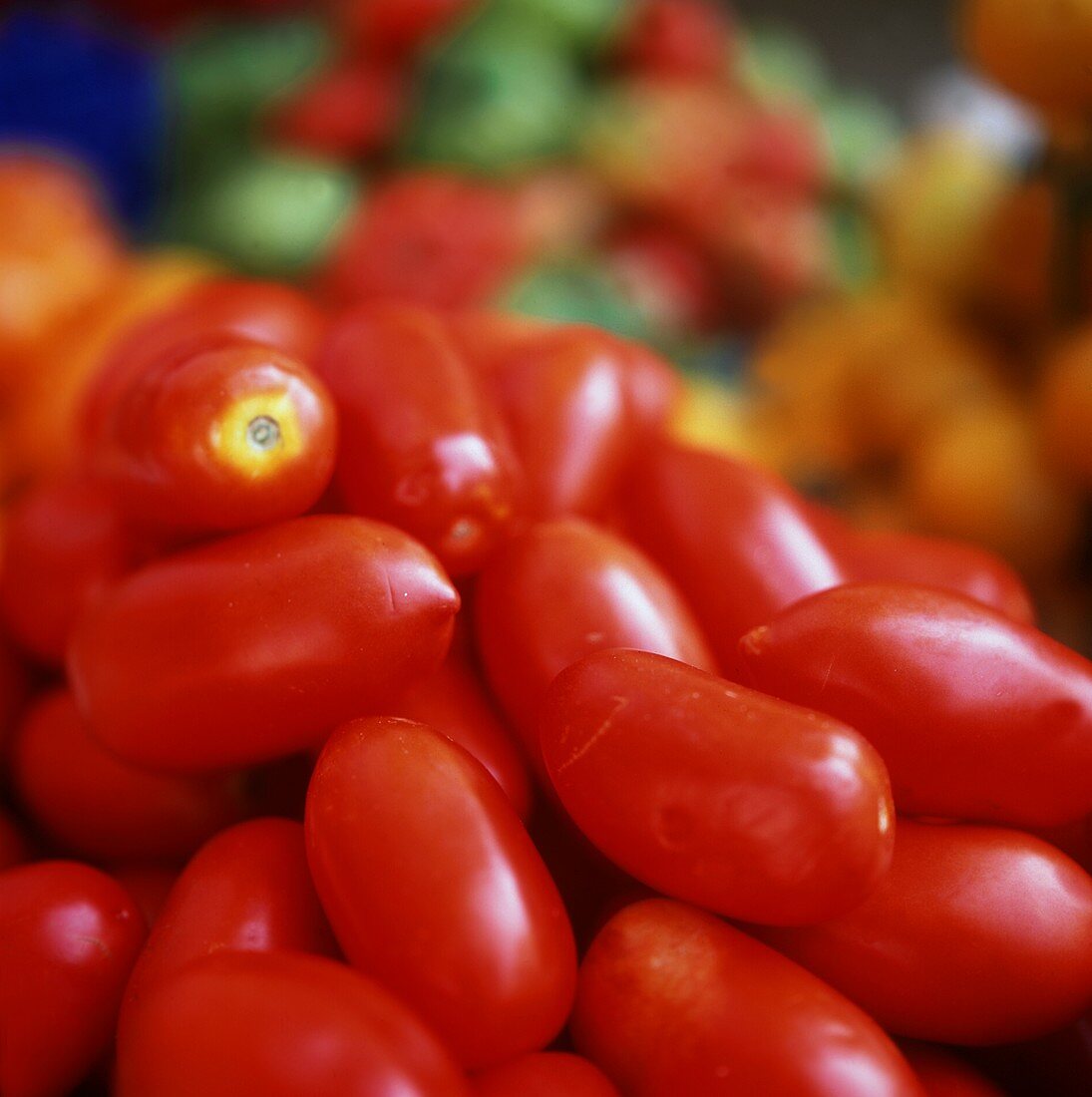 Ripe Tomatoes