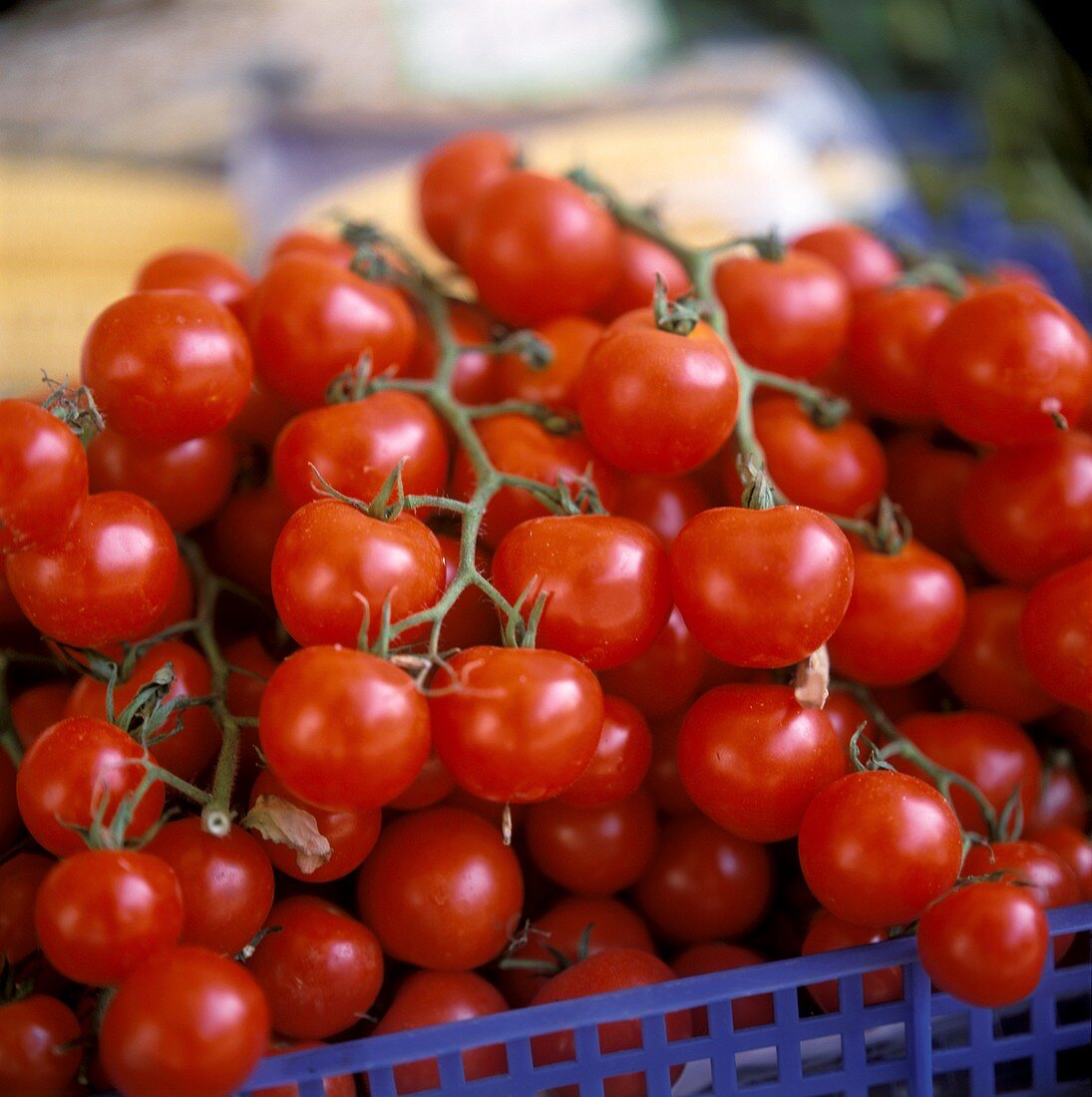 Kleine Strauchtomaten in einer Steige auf dem Markt