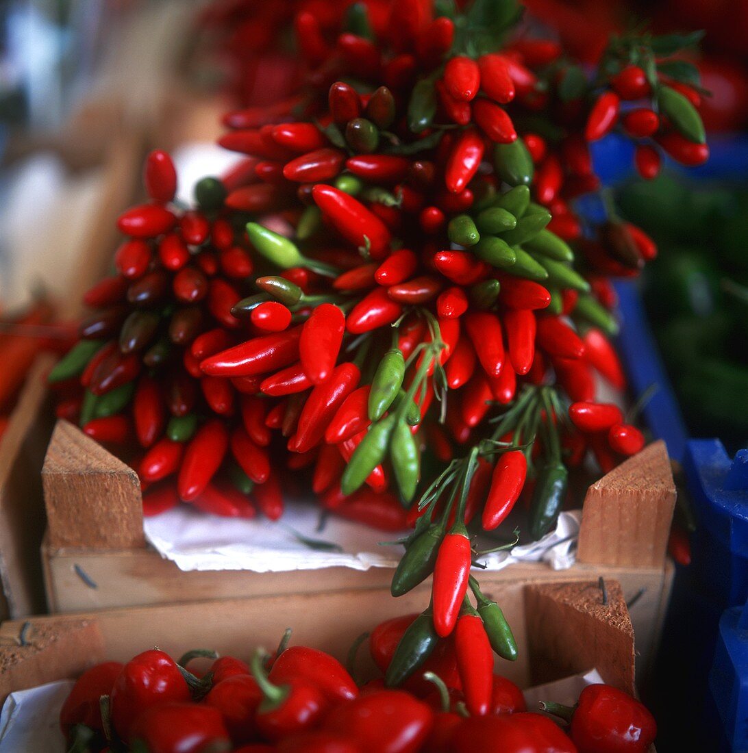 Rote und grüne Chilischoten in Steigen auf dem Markt
