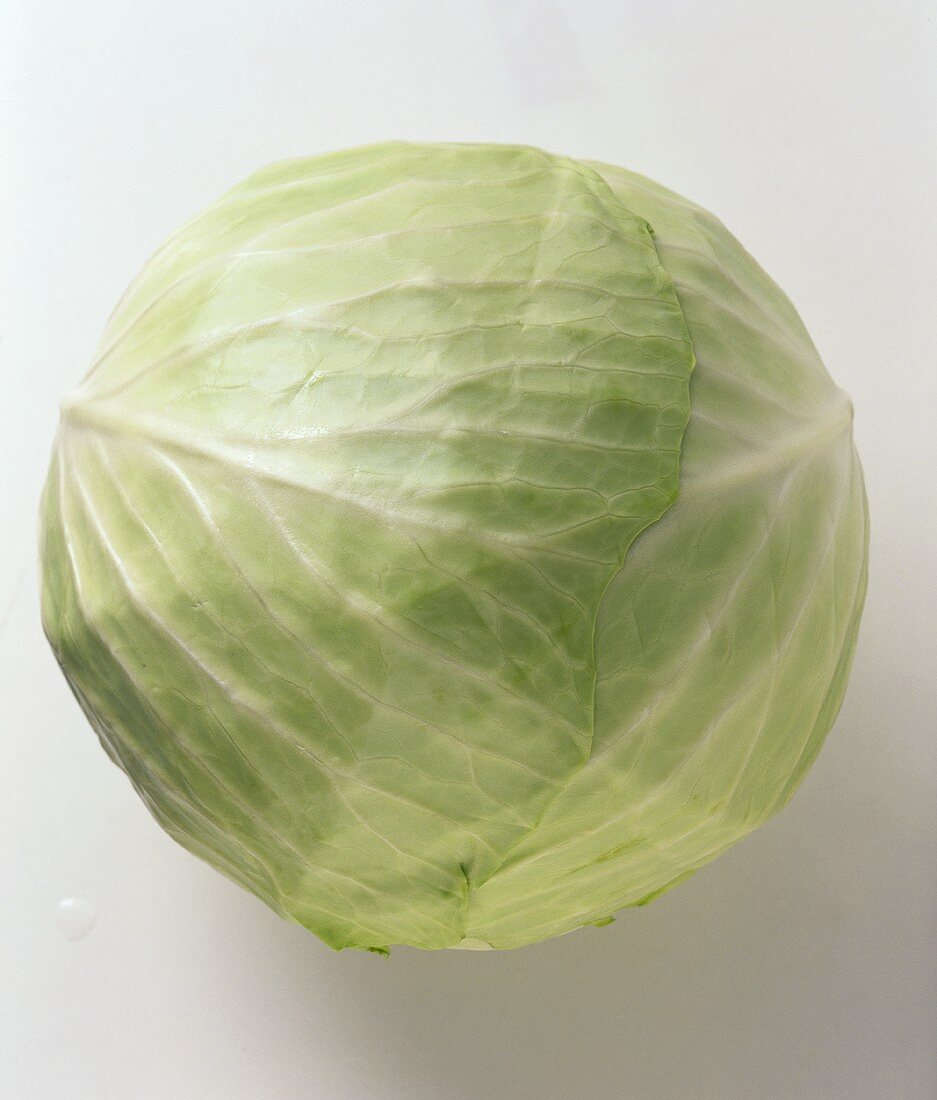 A white cabbage