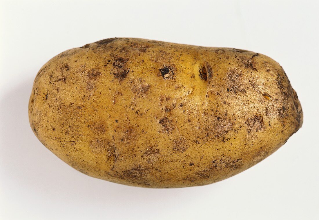 A Moossiglinde potato