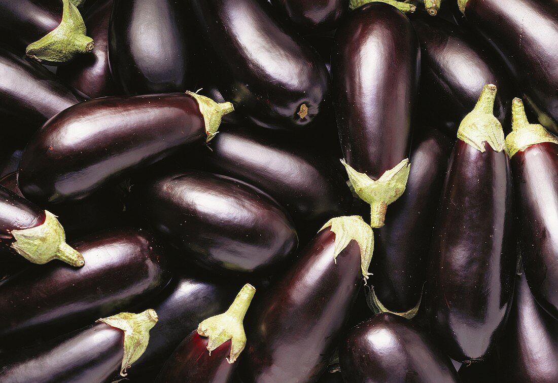 Lots of aubergines (filling the picture)