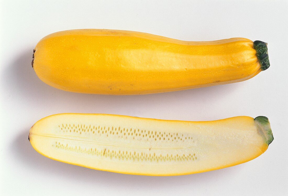 Summer Squash