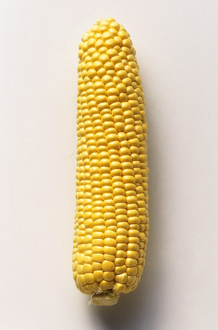 A corncob, husk removed