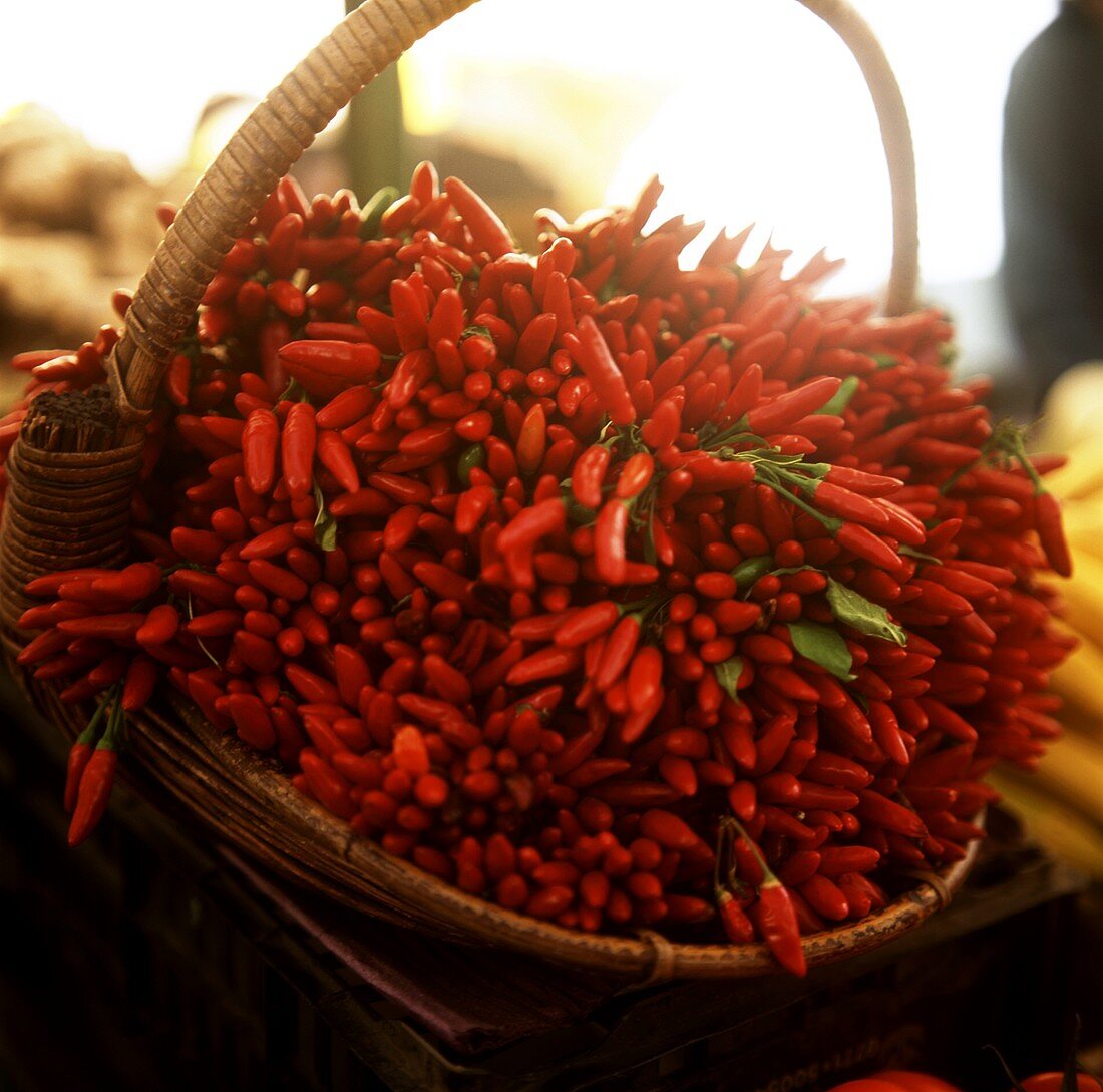 Basket of fresh chili peppers at the market