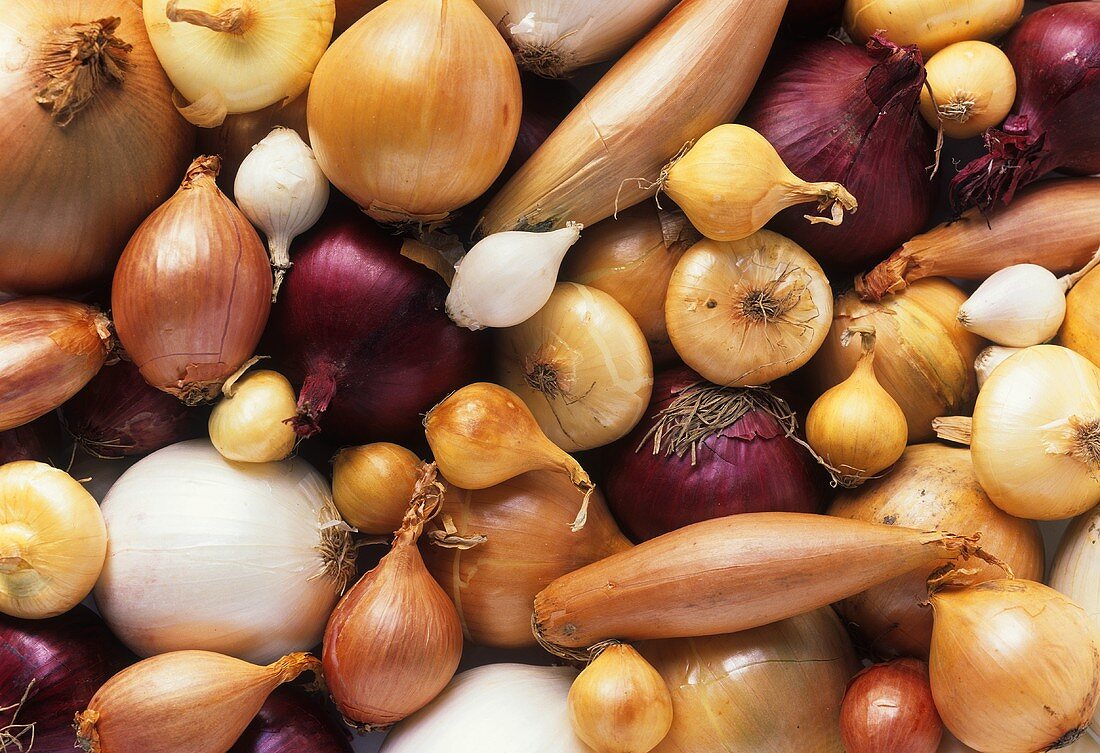 Various varieties of onions (filling the picture)