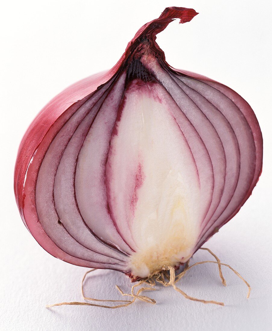 Red Onion Half