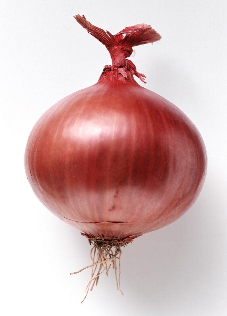 Red onion