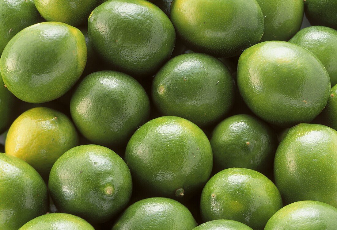Limequats (bildfüllend)