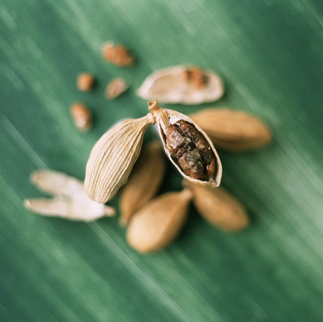 Cardamom capsules, some opened, on green background