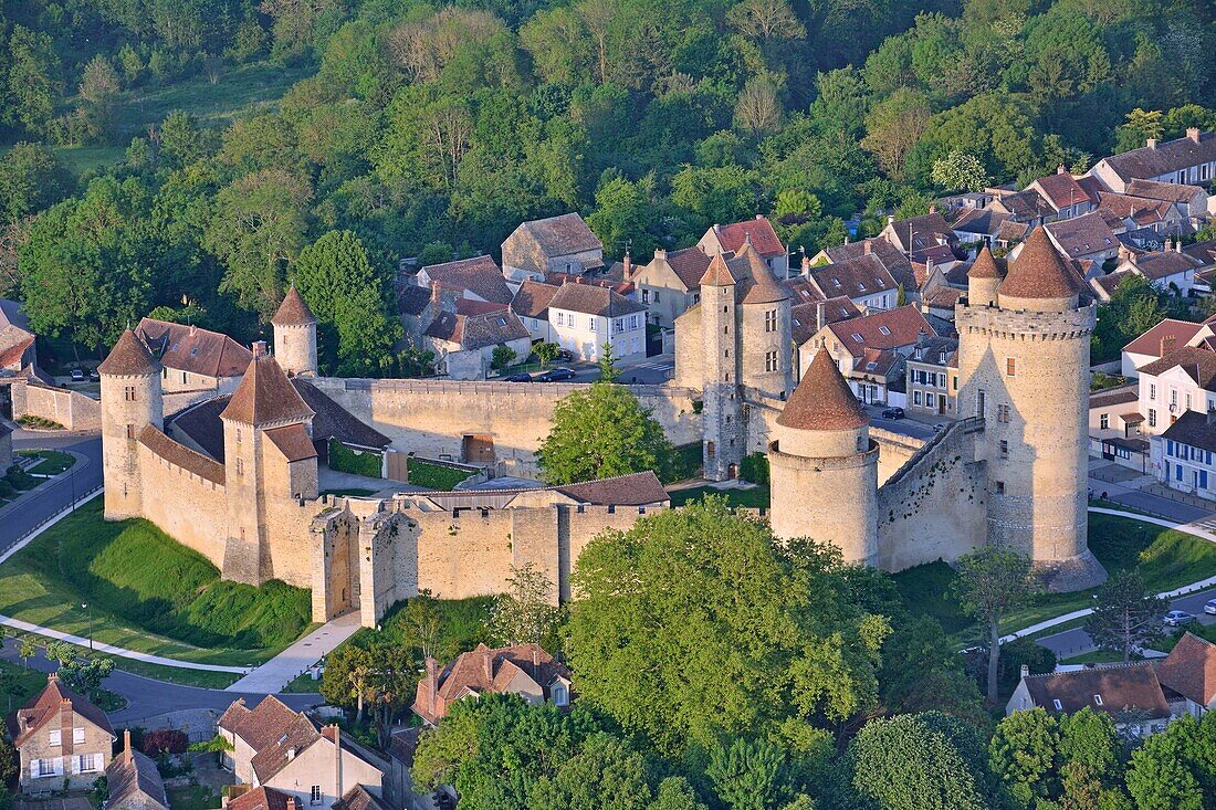France, Seine et Marne, Blandy les Tours, the castle (aerial view)