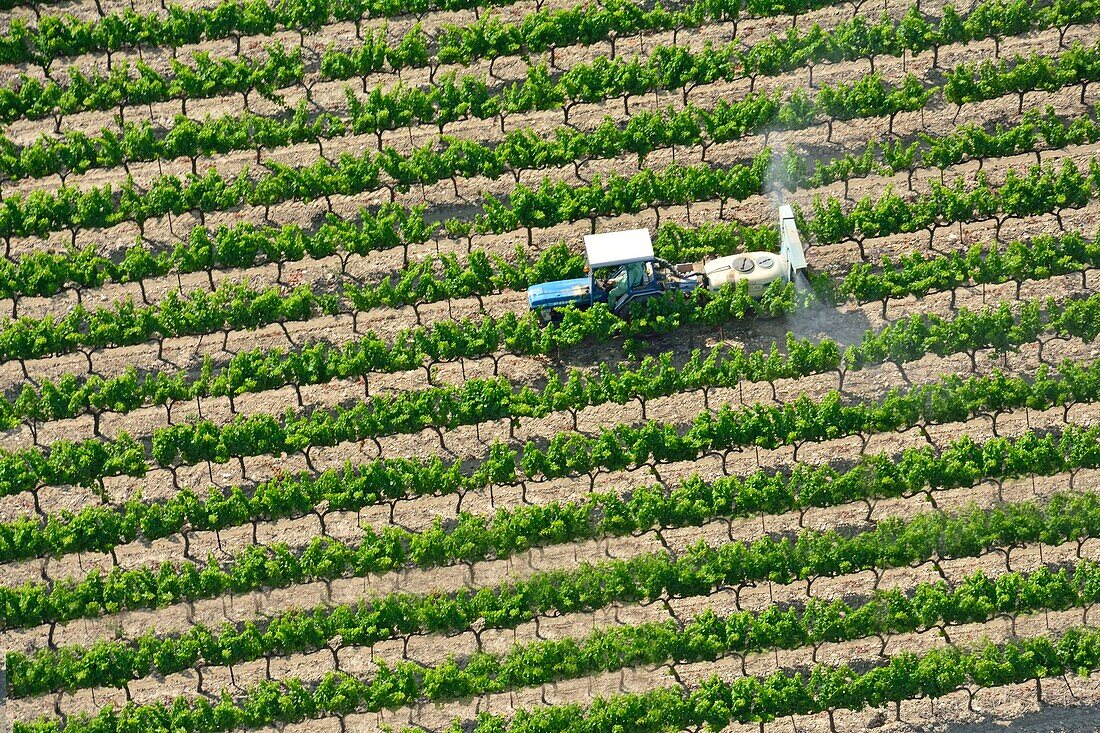 Frankreich, Drome, Grignan, Wein, Weinberg, Luftaufnahme