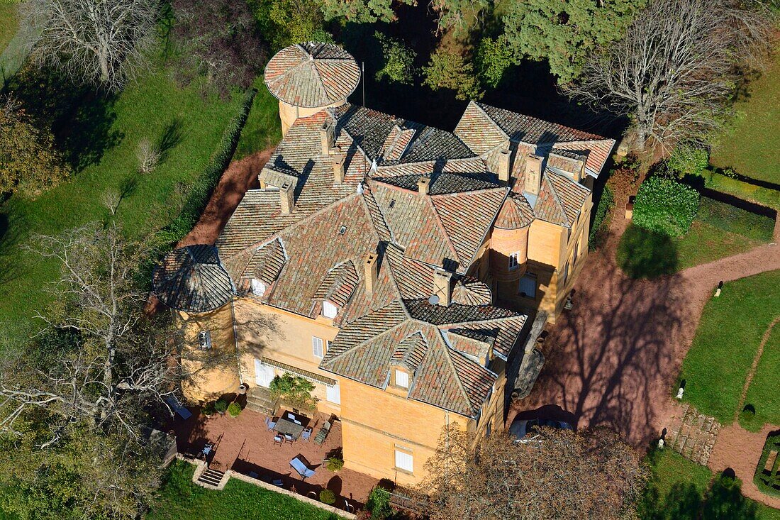 France, Rhone, Cogny, roof of Cogny Manor (aerial view)