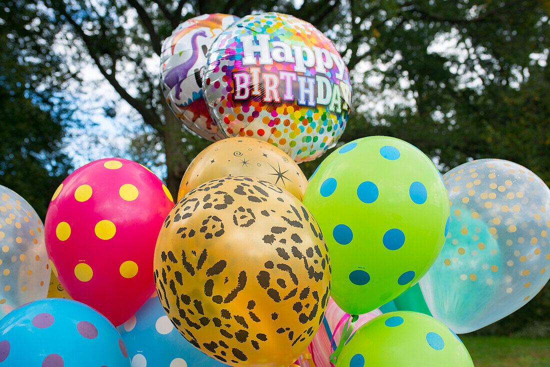 Several 'Happy Birthday" and colorful helium-filled balloons in an outdoor setting