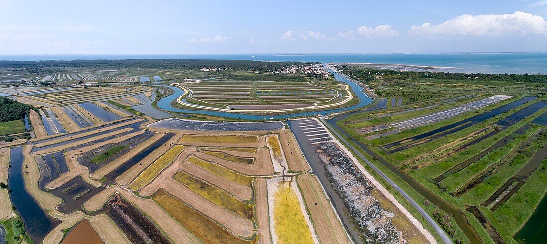 Frankreich, Charente-Maritime, Insel Oleron, Salzwiese zwischen Saint-Pierre d'Oléron und Boyardville (Luftbild)