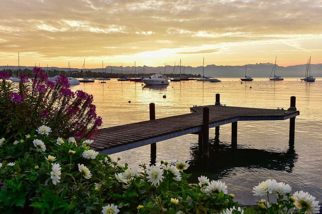 Schweiz, Kanton Waadt, Morges, Lichteffekt auf dem Genfersee und Ponton bei Sonnenaufgang