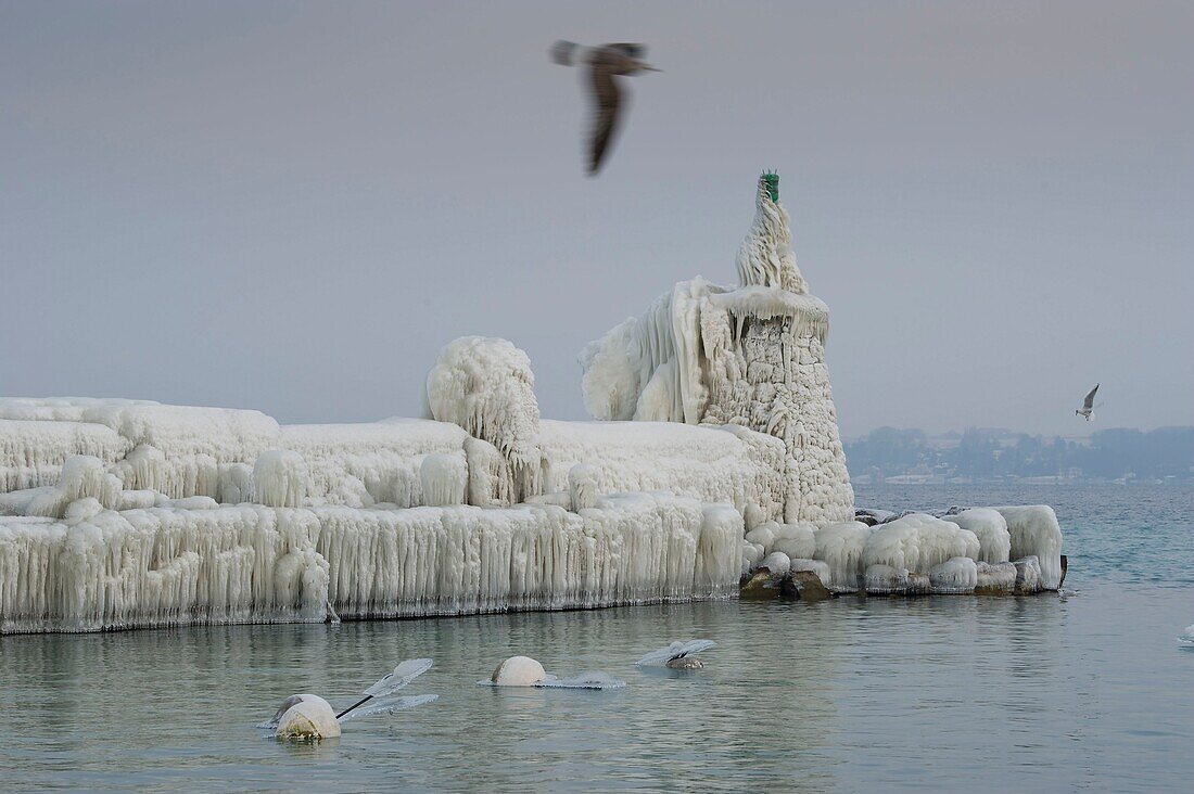 Switzerland, Canton of Vaud, Versoix, the shores of Lake Geneva covered with ice in a very cold wind, an ice covered jetty