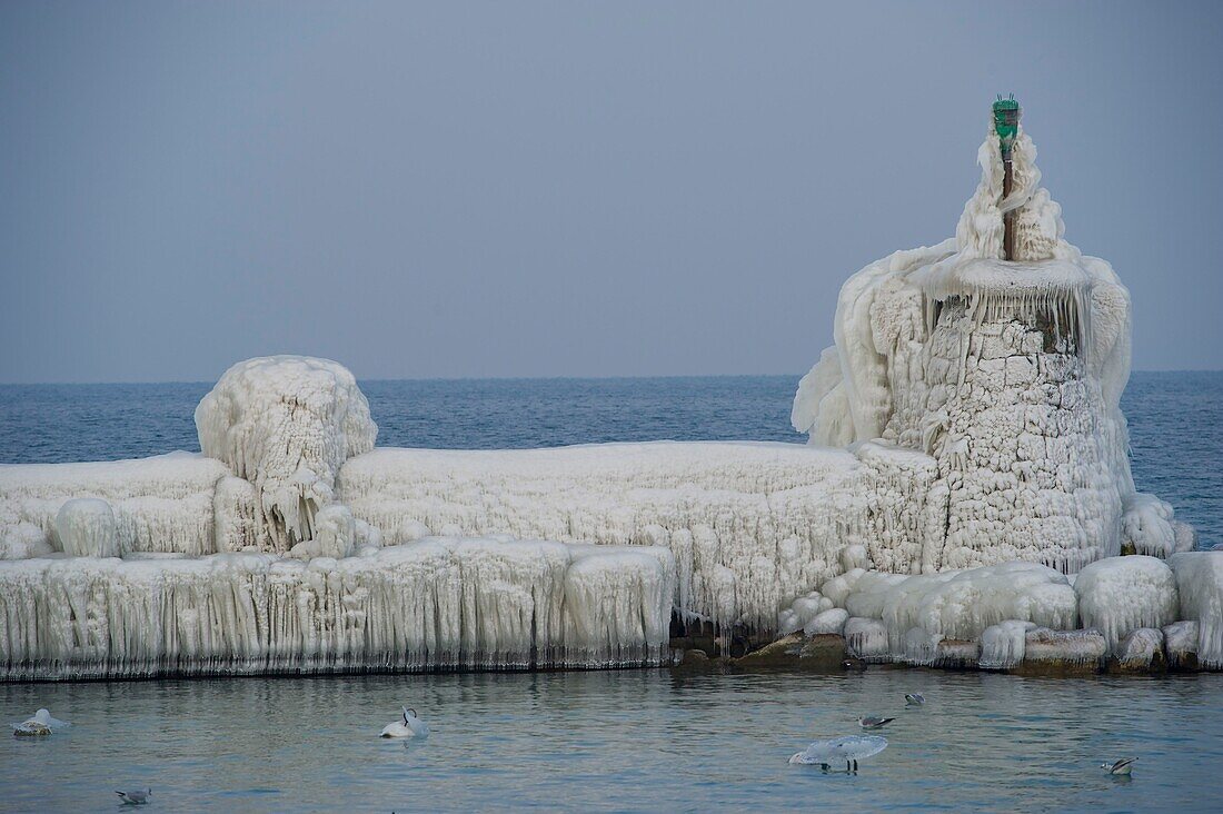 Schweiz, Kanton Waadt, Versoix, die Ufer des Genfersees bei sehr kaltem Wind mit Eis bedeckt, ein eisbedeckter Steg