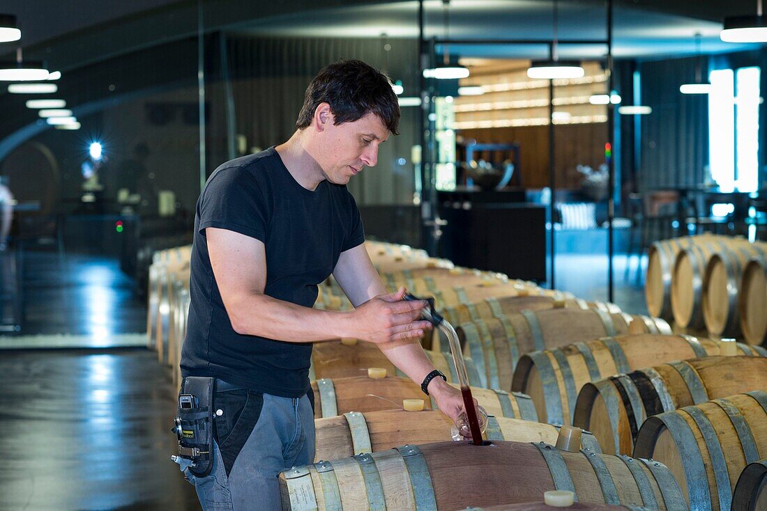 Switzerland, Valais, Val d'Anniviers, portrait of oenologist Michael Hock in Rouvinez cellar