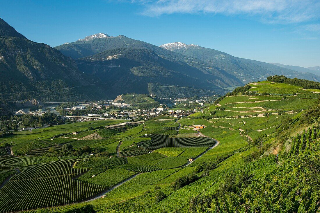 Schweiz, Wallis, der Weinberg von Sierre umgibt die Stadt