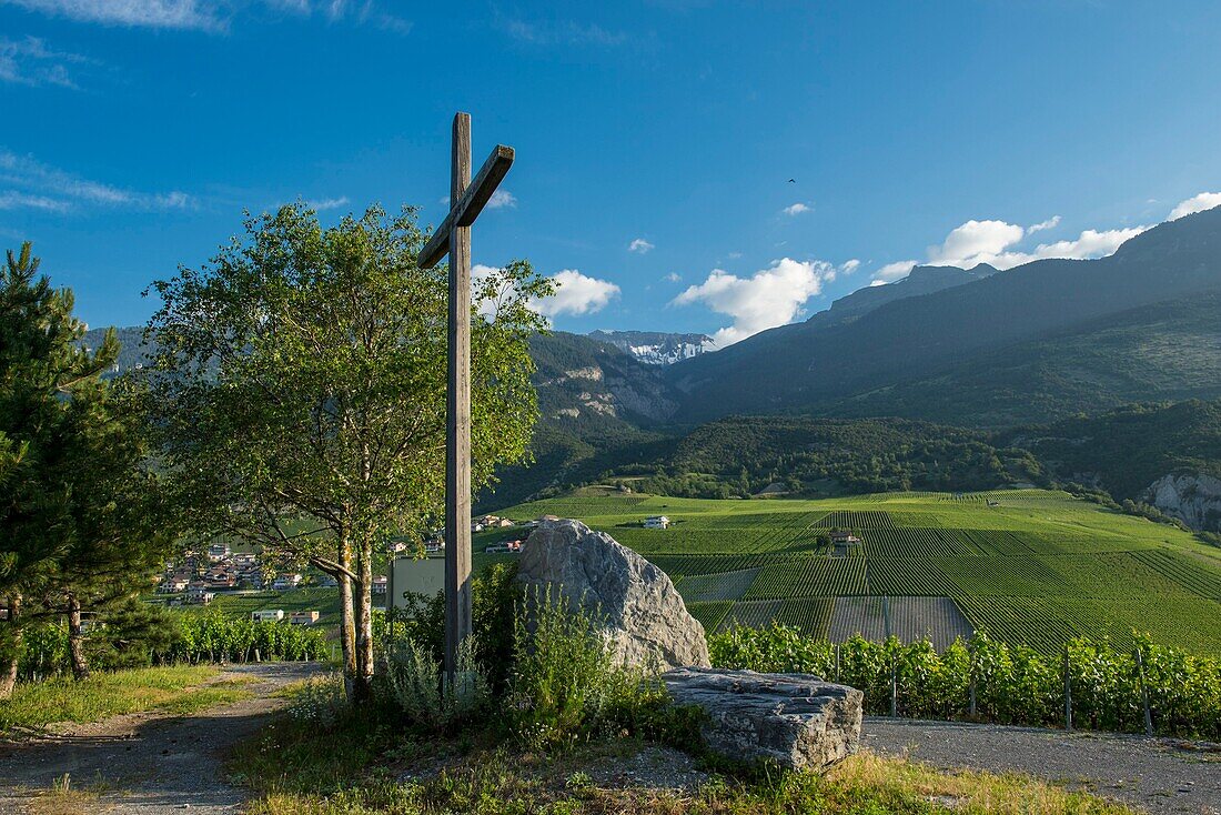 Schweiz, Wallis, der Weinberg von Sierre umgibt die Stadt