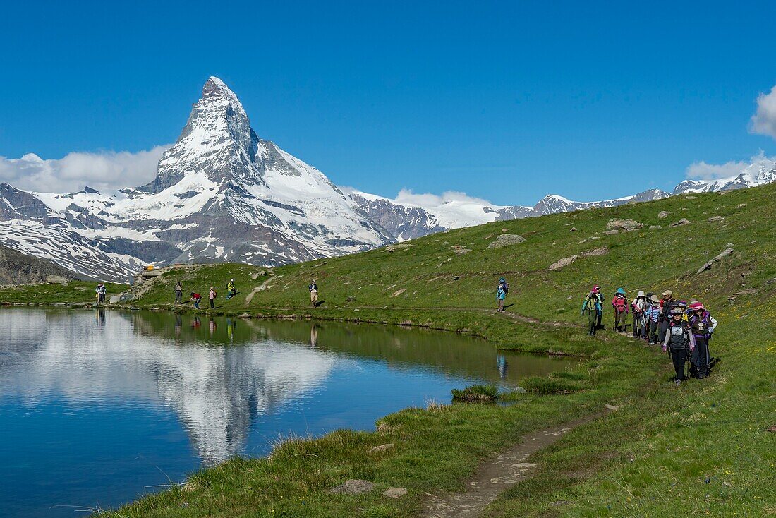 Schweiz, Wallis, Zermatt, nicht weit von der Bergstation der Seilbahn Blauherd, der Stellisée-See, Spiegel des Matterhorns