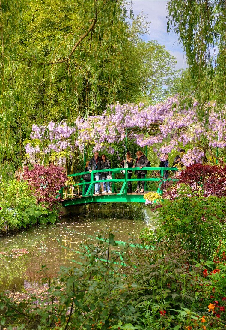 France, Eure, Giverny, Claude Monet foundation, the japonese garden with wisteria in blossom