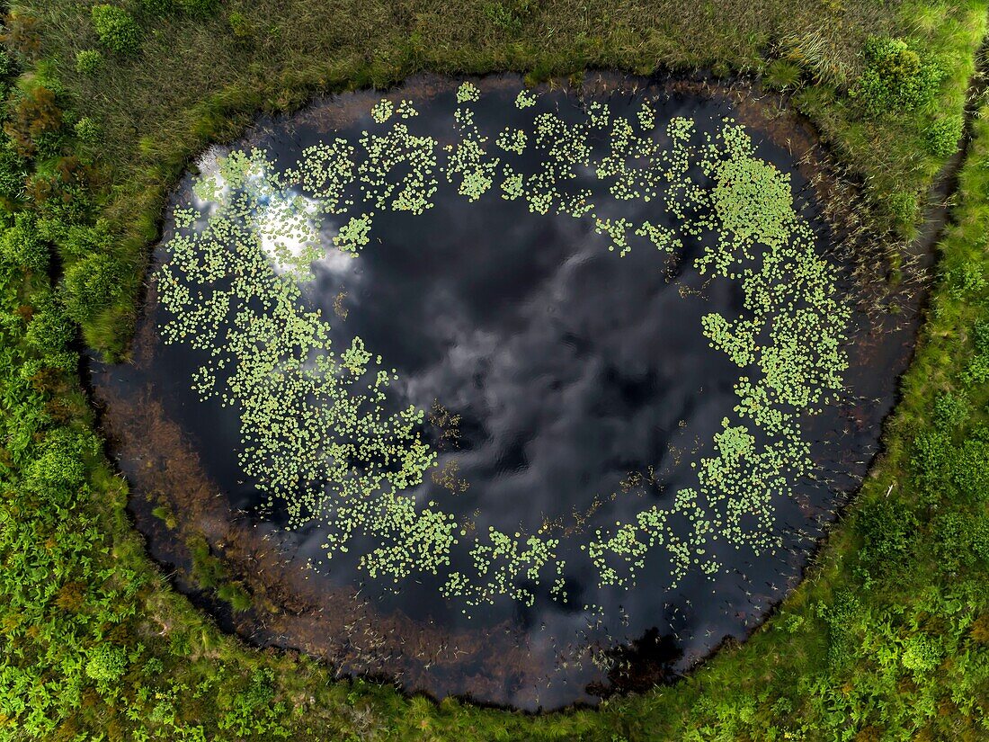 France, Gironde, Val de L'Eyre, Parc Naturel Régional des Landes de Gascogne, the lagoons of Gat Mort, a remnant of the moor of other times (aerial view)