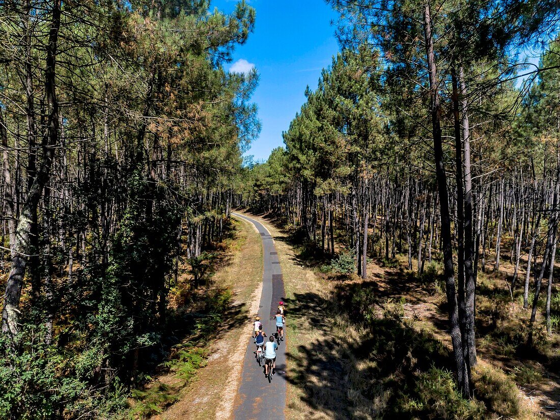 France, Gironde, Val de L'Eyre, Parc Naturel Régional des Landes de Gascogne, cycle tourism