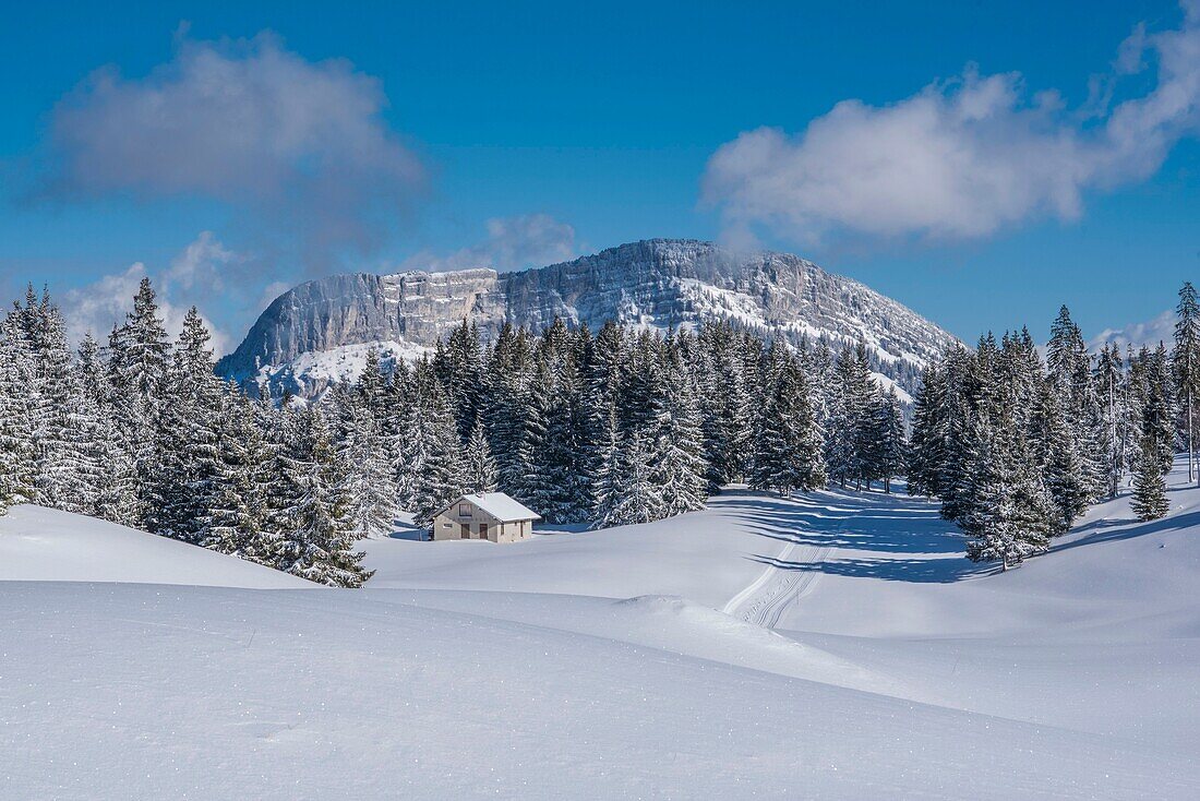 Frankreich, Haute Savoie, Bornes-Massiv, Plateau des Glieres, Langlaufloipe auf dem nordöstlichen Teil des Plateaus und die Felsen von Leschaux