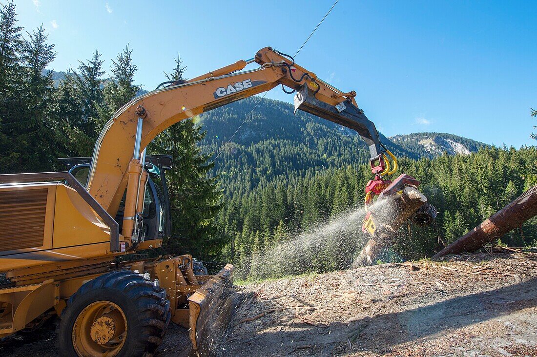 Frankreich, Haute Savoie, Massif des Bornes, Glieres-Plateau, rutschender Wald mit Kabel am Mast der Firma Mabout