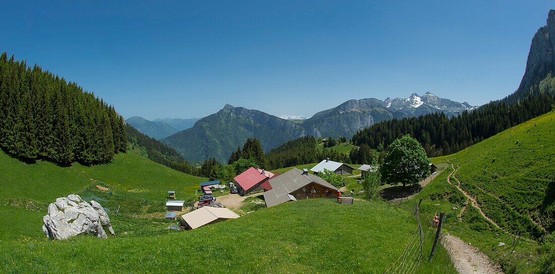 France, Haute Savoie, Bornes massif, Glieres plateau, hiking to the rock Parnal, panoramic view of the hamlet of Mouilles and Bargy massif