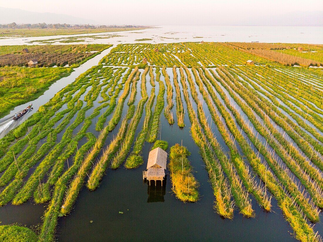 Myanmar (Burma), Shan-Staat, Inle-See, Kela Floating Gardens (Luftaufnahme)