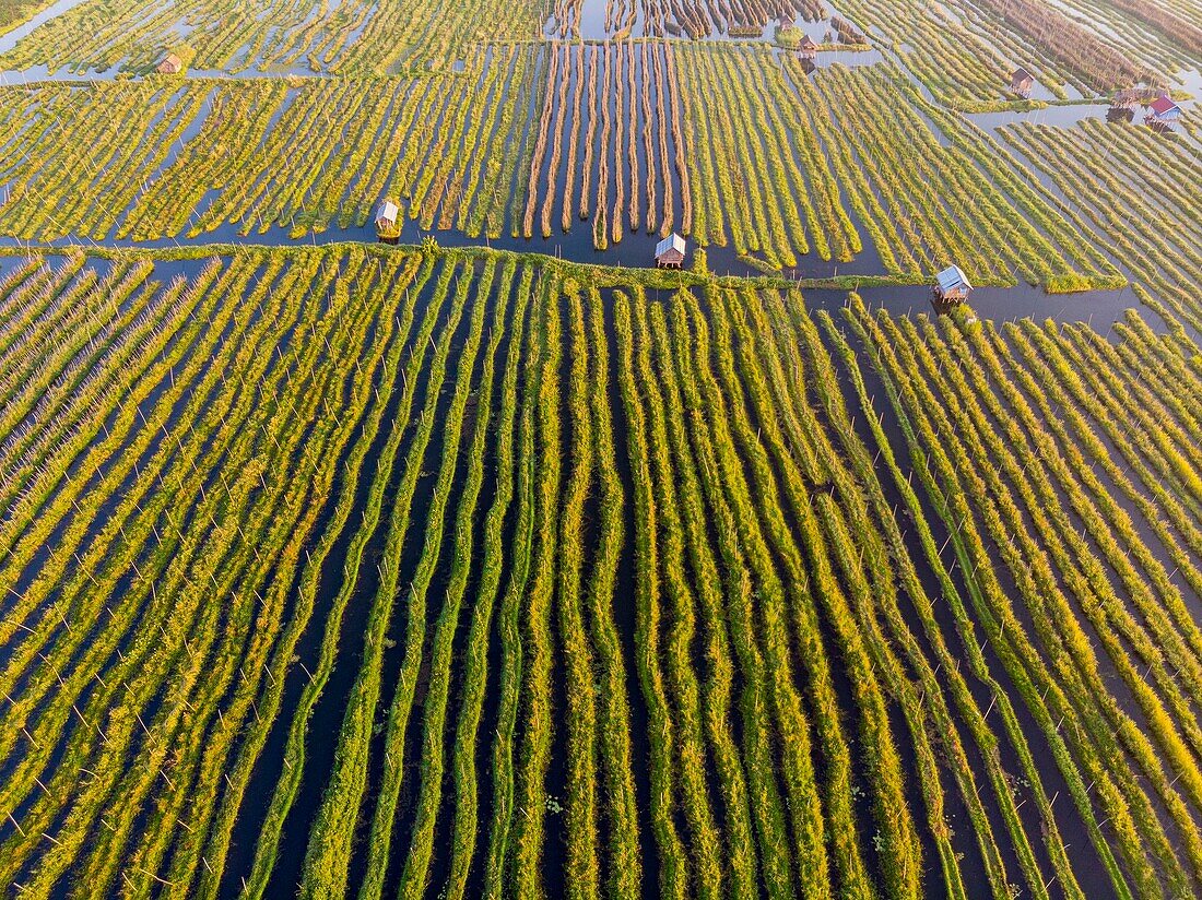 Myanmar (Burma), Shan State, Inle Lake, Kela Floating Gardens (aerial view)