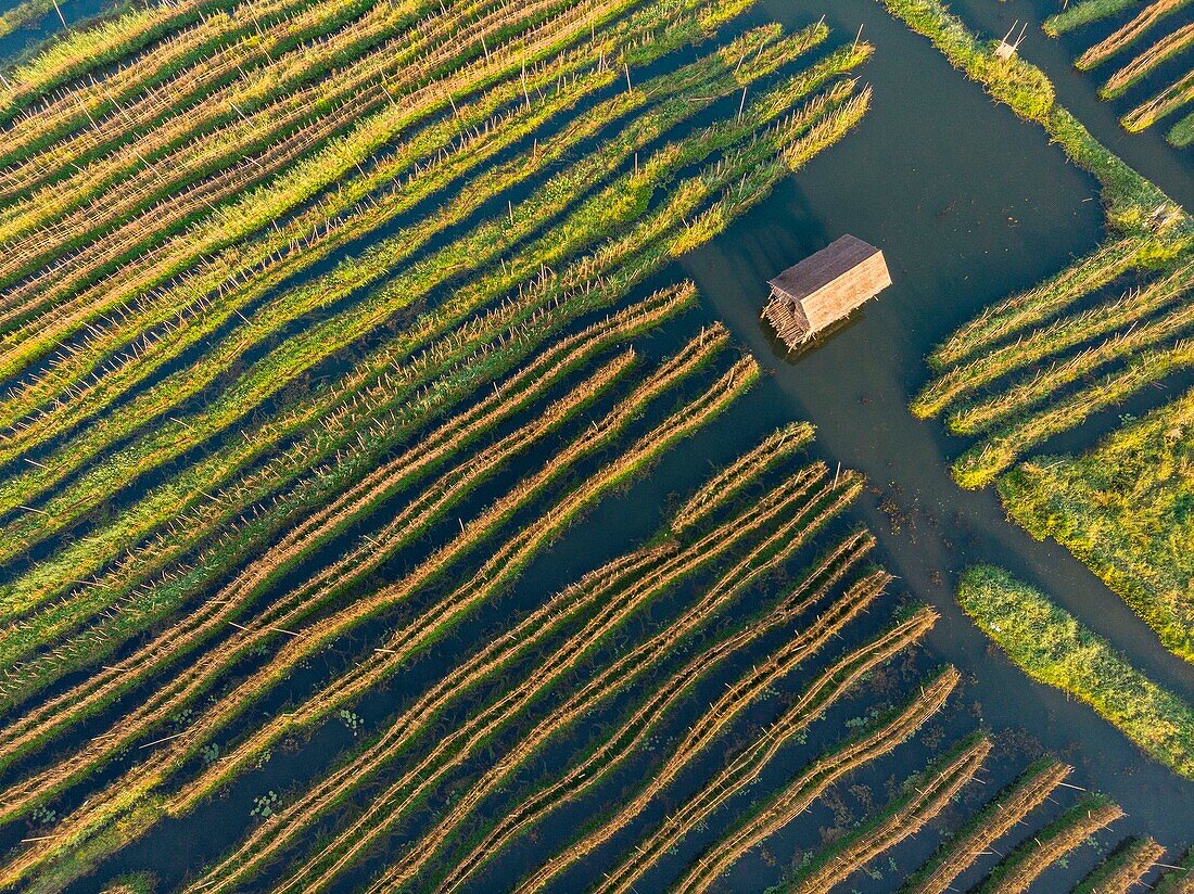 Myanmar (Burma), Shan State, Inle Lake, Kela Floating Gardens (aerial view)