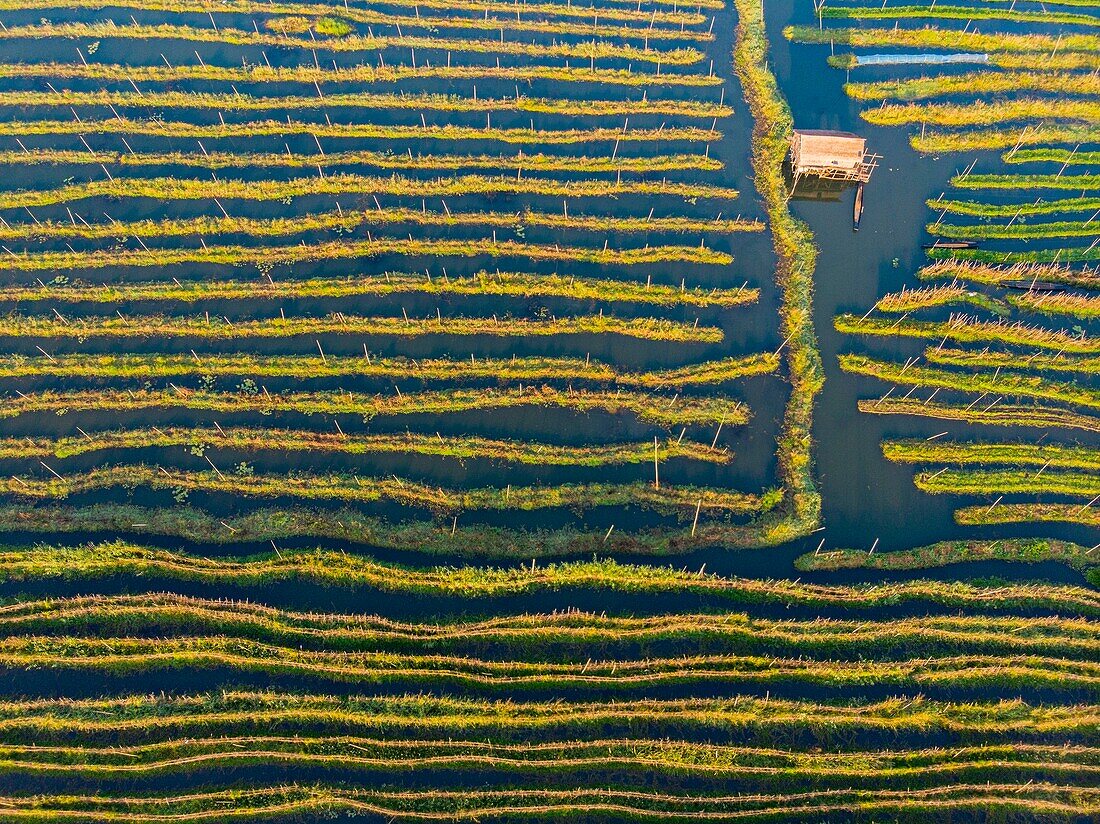 Myanmar (Burma), Shan State, Inle Lake, Kela Floating Gardens (aerial view)