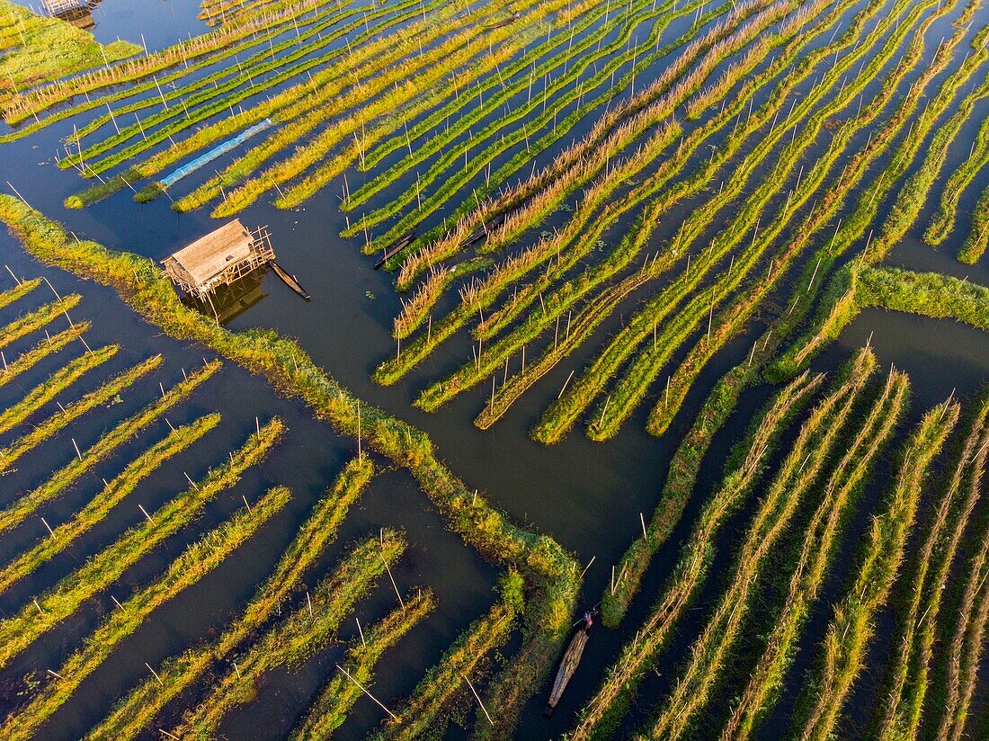 Myanmar (Burma), Shan-Staat, Inle-See, Kela Floating Gardens (Luftaufnahme)