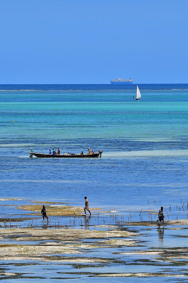 Tanzania, Zanzibar, Jambiani