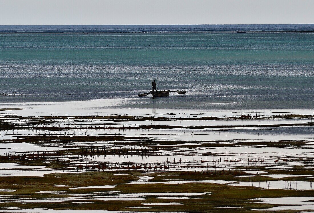 Tanzania, Zanzibar, Jambiani